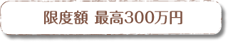 限度額　最高300万円